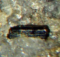 /album/galerie-photos/graoueres-p1-tourmaline-5314-mod1-jpg/